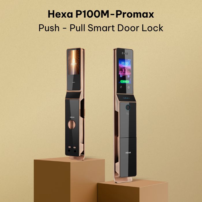 Hexa P100M-promax 1
