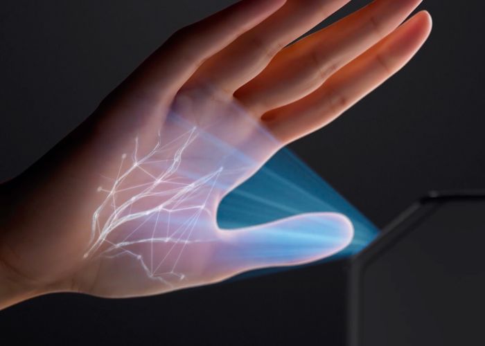 Palm Vein Recognition 1