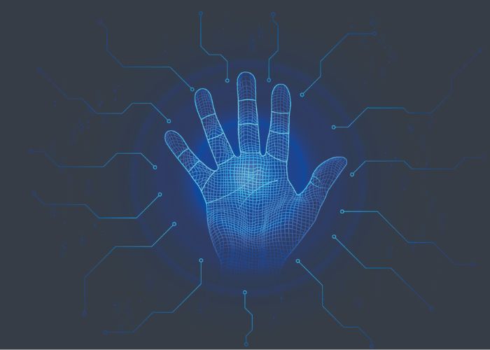 Palm Vein Recognition 2