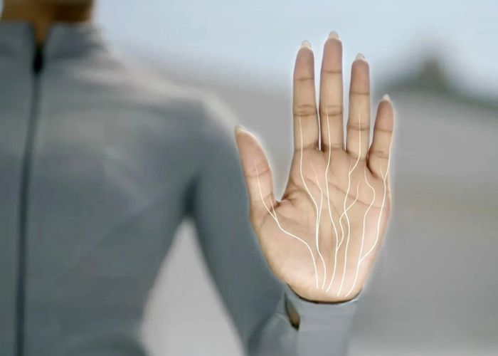 Palm Vein Recognition 3